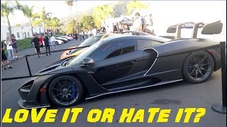 Mclaren Senna a P1 and Bugatti! Belen's Pumpkin Bread Recipe!