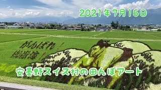 御嶽海関を応援に安曇野スイス村の田んぼアートへ！