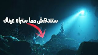 ما الذي يعيش في قاع خندق ماريانا أعمق نقطة على سطح الكرة الأرضية؟