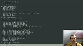 I made a terminal based text editor in 208 lines with Python & Curses