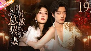 《同居總裁契約妻》CEO's Contract Wife⏩EP19 總裁大人酒吧擄走灰姑娘💥強制同居曖昧相處🧡未婚先孕抓馬不停🍀#杨紫 #肖战 #白鹿 #王鹤棣