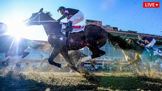 Preakness Stakes 2021 race details, how to watch live stream free guide