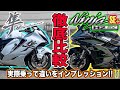 【徹底比較】 新型ハヤブサとNinja H2 SX SE+どっちが良いの？実際乗って確かめてみた！隼 vs ニンジャH2！メガスポーツツアラーバイク乗り比べ頂上決戦！【モトブログ】