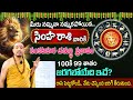 November Simha Rasi 2024 | Leo Sign For This Month | Sankatahara Chathurdhi  Effects || #sumantv