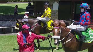 20220207 Hollywoodbets Greyville Race 1 won by PROTEA PRIDE