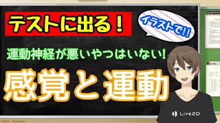 人体～感覚と運動のしくみ～（植物と動物の生きるしくみ⑥）【中2理科授業動画（アニメ）】