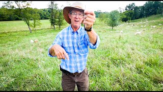Greg Judy’s Best Medicine for Sheep Parasites