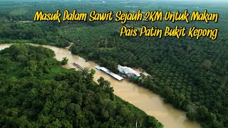 Masuk Dalam Sawit Sejauh 2KM Untuk Makan Pais Patin | Pais Patin Bukit Kepong