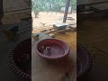 Beyblade Adu Tempur #shorts #videoshort #videoviral #shortsfund