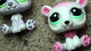 My Littlest Pet Shop POLAR BEAR Collection