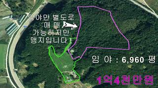 횡성둔내면 마암리 임야 및 '전' 정남향의 해발550m 산과밭                                              둔내ic 6km 접근성좋은개발부지