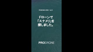 ドローンでスナメリを探しました。【PRODRONE NEWS Vol.１】#Shorts