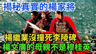 揭秘真實的楊家將：楊繼業沒撞死李陵碑，楊文廣的母親不是穆桂英【老海說奇史】#趣味歷史#古代歷史#歷史故事#歷史人物#歷史冷知識