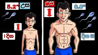 උස වැඩි කර ගන්න මෙන්න මේ Tips හරියට Follow කරන්න | How to Increase Height in Sinhala | Motivation