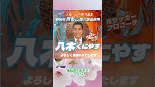 参政党【八木くにやす】西条市議会議員候補🍊西条市議会議員選挙🍊投票日２月１６日（日）🍊パンダさんとのコラボ🍊参政党愛媛