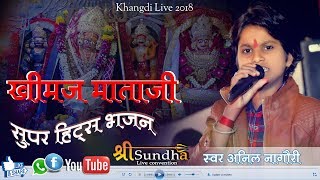 आवणो पडेला खीमज माँ | Khimaj Mata Bhajan ANIL NAGORI khangdi Live 2