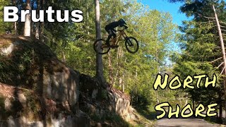 Race Training Laps On Cypress Turned Into Me Doing Brutus For The First Time | MTB