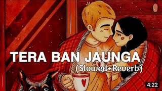 Tera Ban Jaunga ( Slowed + reverb )- Akhil Sachdeva, Tulsi Kumar | Kabir Singh | Blue wine music ind