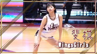 【台鋼獵鷹 ｜Wings Girls】節間舞蹈表演 (20230305)｜T1 League《台南台鋼獵鷹 vs 台啤英熊》