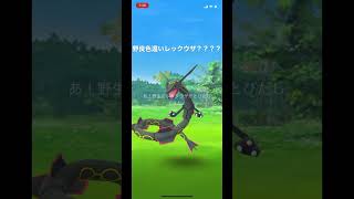 #shorts #レックウザ　#色違いレックウザ　#ポケモンgo