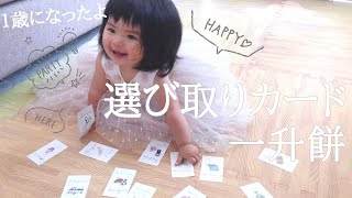 1st Birthday! 選び取りカード\u0026一升餅【生後1歳赤ちゃん】(Eru choose your future job card/elegir tu carta trabajo futuro)