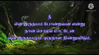 இனிய சகோதர தின நல்வாழ்த்துக்கள்