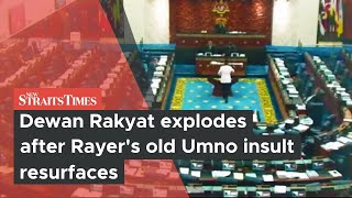 Dewan Rakyat explodes after Rayer's old Umno insult resurfaces