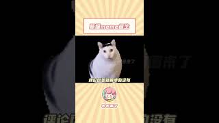 让我们庆祝一个新猫meme的诞生#萌宠#猫meme（来源：快乐小萌宠）#shorts