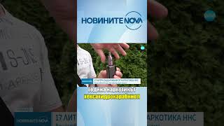 Наркотикът HHC е най-масово използван #novinitenanova #novatv #novinite #nova #наркотик