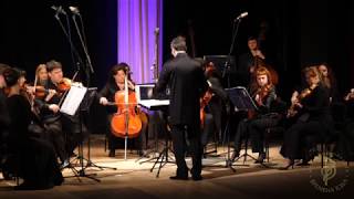 N. Rota - Concert for strings