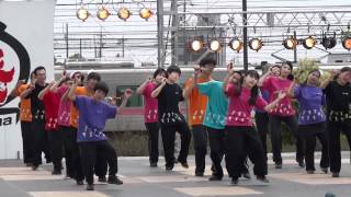 鳴子調（犬山踊芸祭2012・2日目）