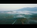 the forest cinematic aerial