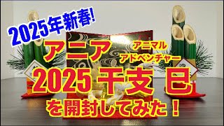 2025年新春! アニア アニマルアドベンチャー 2025年 干支 巳を開封してみた！