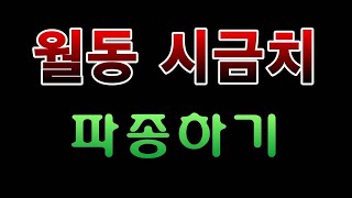 [텃밭농부.822]  월동 시금치 파종하기 #시금치재배