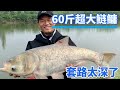 Reservoir 1 hour 100 yuan to catch 60 pounds of super large silver carp and bighead!