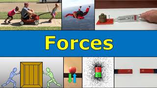 Forces Overview