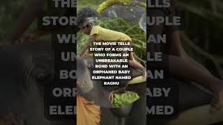 The Elephant Whisperers Indian Documentary wins #oscars2023 #shorts