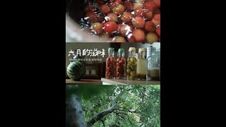 将六月的滋味，泡进酒里🍃🥃#小森林 #泡青梅酒 #泡杨梅酒 #把生活拍成电影#自制饮品