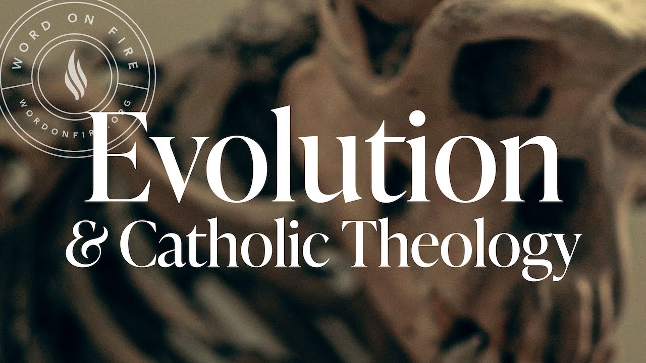 Evolution And Catholic Theology Youtube
