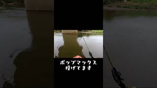 木山川の急流にポッパー投げてみた #shorts