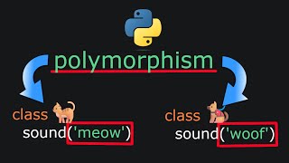 The Polymorphism Trick Every Python Beginner Needs