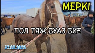 Жылқы бағасы / Мерке мал базар 27.02.2025