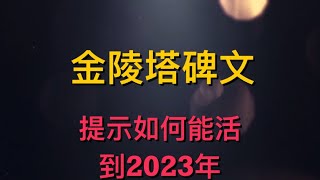 你能活到2023（木兔年）嗎？《金陵塔碑文》中最關鍵的現實作用  《有一說一》靈助 20201016