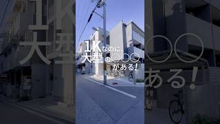 【No.T1113】1Kなのに〇〇がある！ #不動産 #ユニーク物件 #賃貸マンション