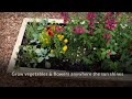 natural cedar raised garden beds