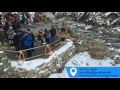 snow monkey jigokudani monkey park nagano japan ลิงแช่ออนเซ็น by รถเช่าในญี่ปุ่นพร้อมคนขับ คนไทย