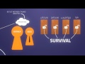 Success vs Survival  Surah Al Asr  Pt  02  Kinetic Typography HD, 720p