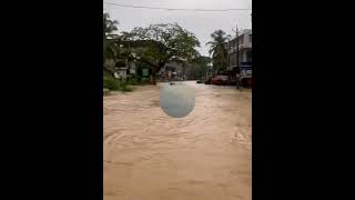 🌧️🌧️വീണ്ടും ഒരു മഴക്കാലം 🌧️