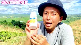 9月の薬剤散布はこれ！【日下農園】