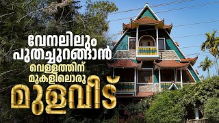 ചൂടുകാലത്തും മൂടിപ്പുതച്ചുറങ്ങാം; കുളത്തിന് മുകളിൽ മുളയില്‍ പണിതൊരു വീട് | Bamboo House